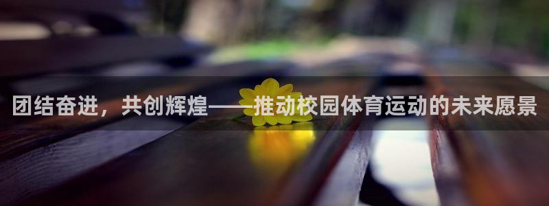 嗨王体育怎么看不了了：团结奋进，共创辉煌——推动校园体育运动的未来愿景