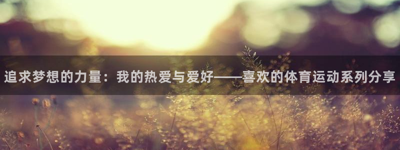嗨王体育最新消息今天：追求梦想的力量：我的热爱与爱好——喜欢的体育运动系列分享