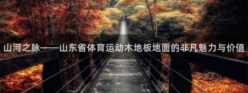 嗨王体育上不去：山河之脉——山东省体育运动木地板地面的非凡魅力与价值