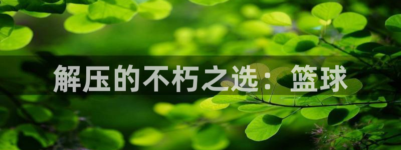 嗨王体育app改名了吗最新消息：解压的不朽之选：篮球