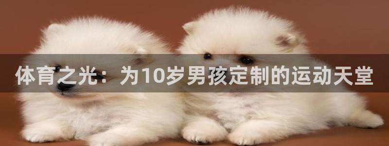 嗨王体育直播app：体育之光：为10岁男孩定制的运动天堂
