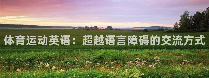 嗨王体育苹果版：体育运动英语：超越语言障碍的交流方式