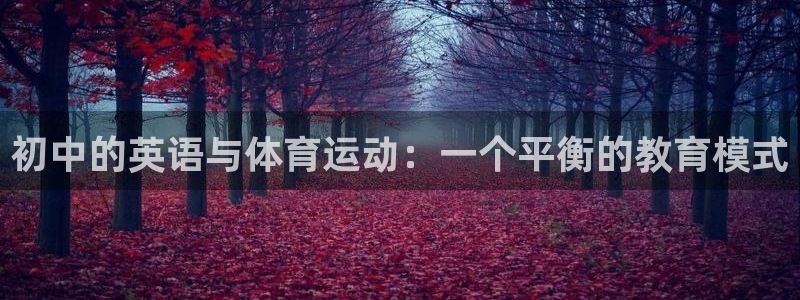 嗨王体育app在苹果怎么下载不了：初中的英语与体育运动：一个平衡的教育模式