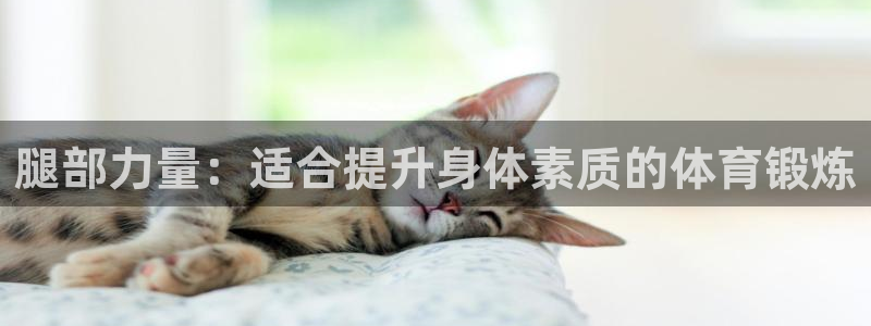 嗨王体育怎么下载：腿部力量：适合提升身体素质的体育锻炼