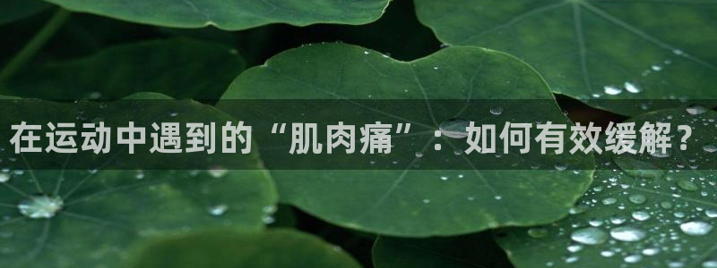 嗨王体育官方入口网站：在运动中遇到的“肌肉痛”：如何有效缓解？