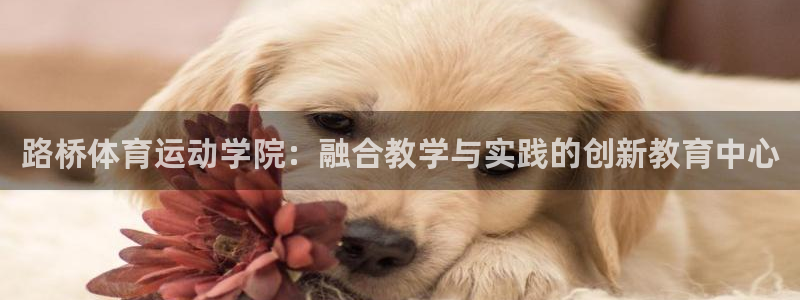 嗨王体育赛事在线直播：路桥体育运动学院：融合教学与实践的创新教育中心